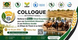 COLLOQUE INTERNATIONAL 2026 – COLLOQUE N-CESAR 2026